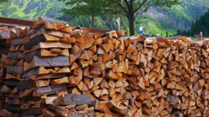 Подробнее о статье Дровяное отопление vs газ и электричество: что выгоднее?