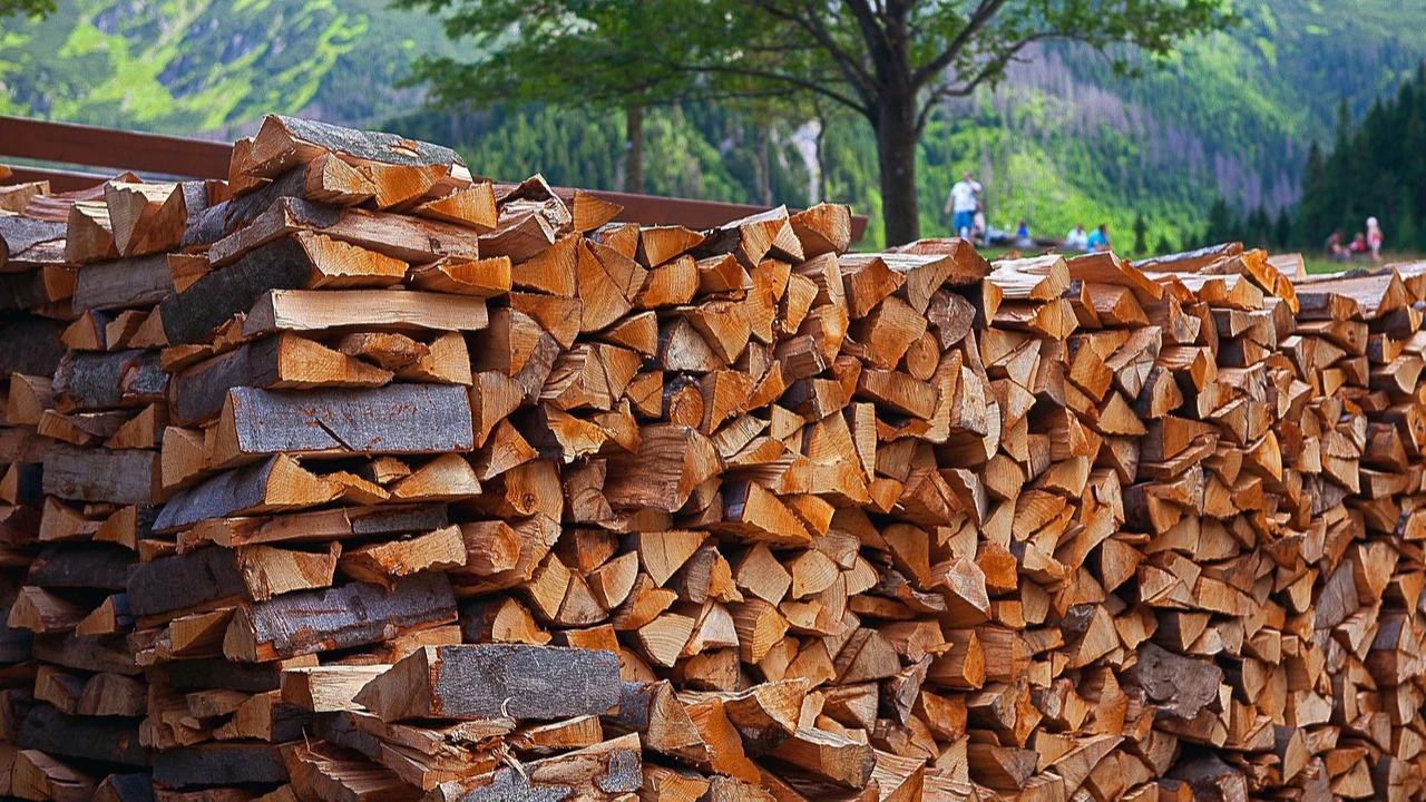 Подробнее о статье Дровяное отопление vs газ и электричество: что выгоднее?