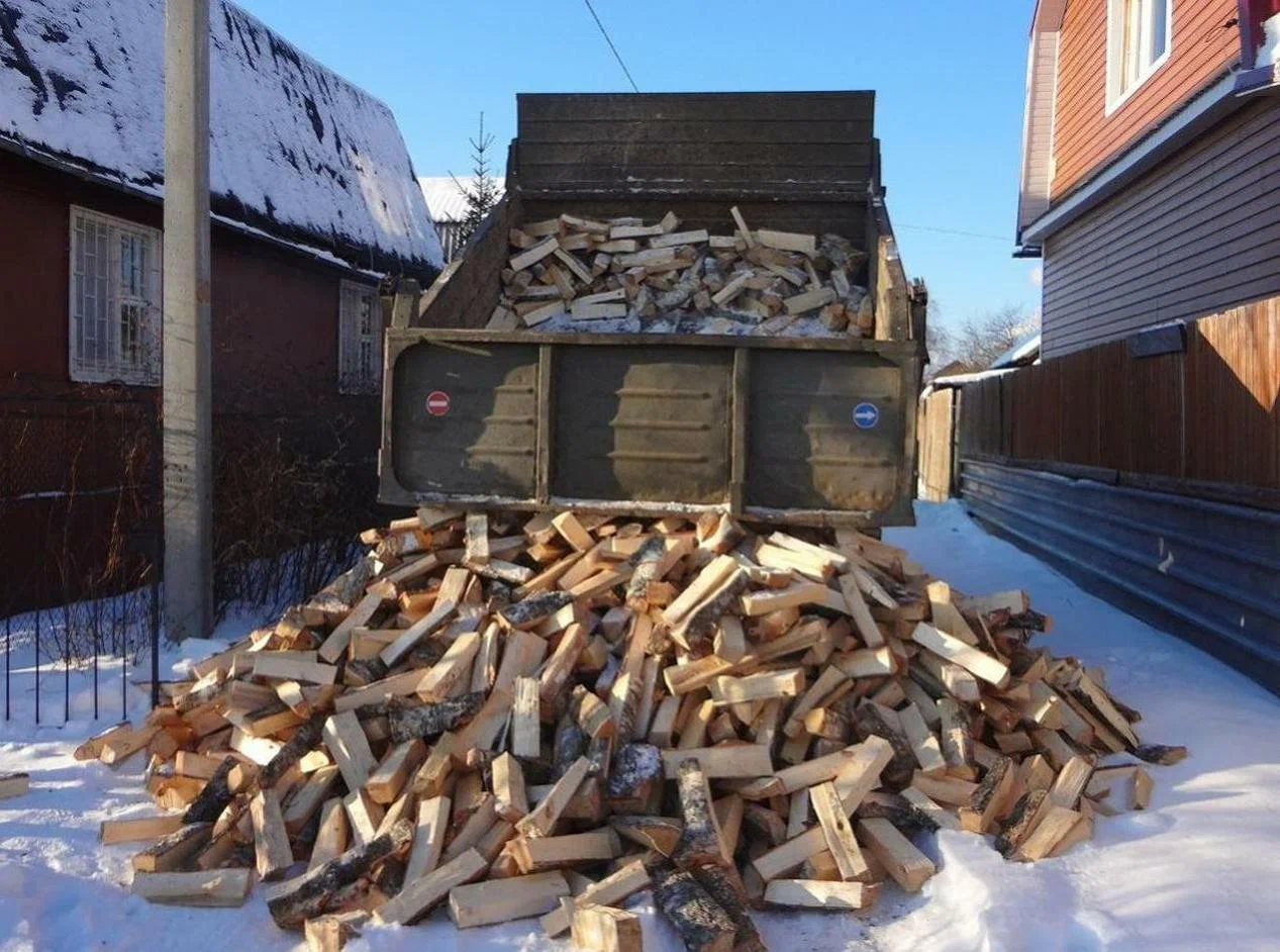 Подробнее о статье Почему дрова становятся отличным выбором для загородного дома?